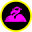 flamingomotorsports.com Icon