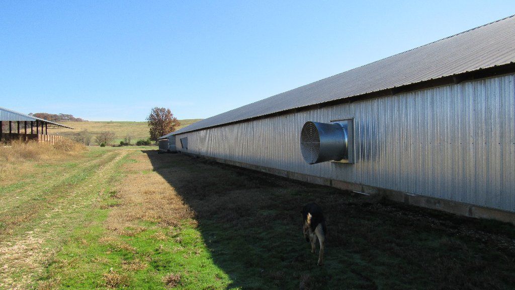 Tyson contract Chicken (Broiler) Farm with 3 Poultry Houses and 40