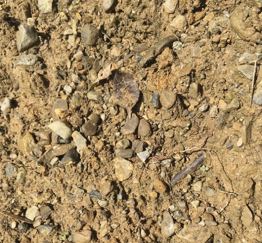 Sand, gravel, soil, mulch delivery