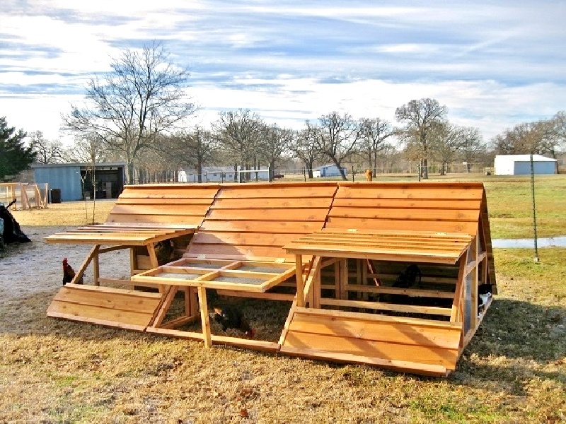 Winter Sale Big And Portable 36 Chickens Coop Hen House For Sale