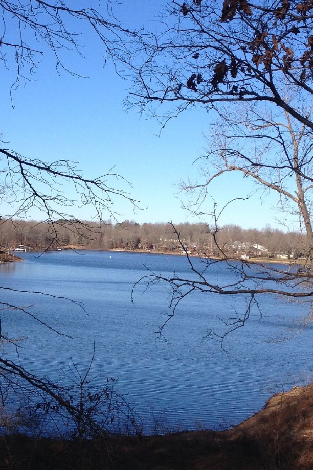 Crown lake front lot Horseshoe Bend Real Estate for Sale Offered