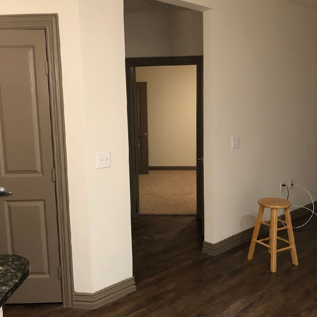 1B1B apartment through June (Plano,TX)