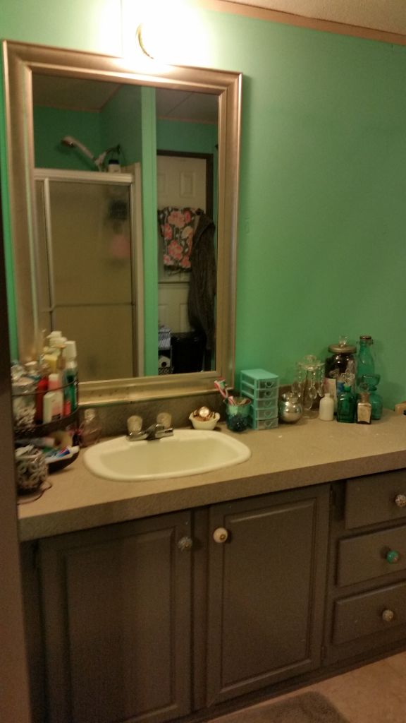 1999 Fleetwood mobile home Jesup Homes for Sale Offered