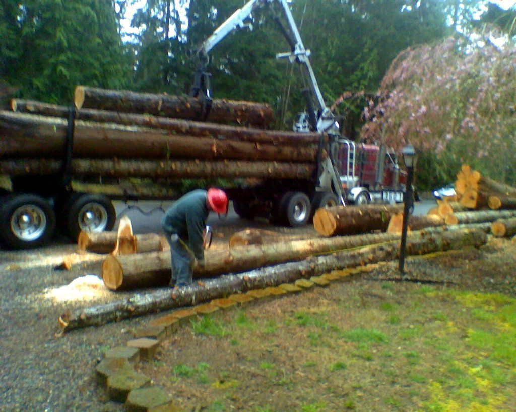 Timber Company Auburn Alabama,