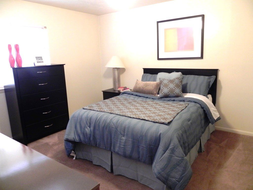 University Place Apartments Sublease w/ a FREE MONTH! All bills paid Denton TX 5245347589