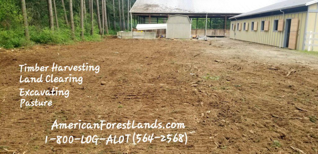 LAND CLEARING SERVICE WA Logging Company Timber Buyers 800-LOG-ALOT Pierce, King County Washington