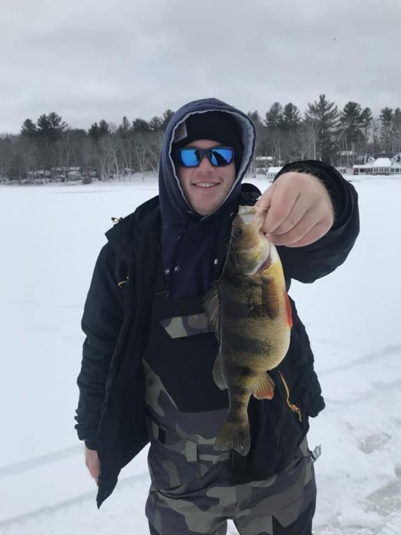 Shiners Ice Fishing Bait Medium Shiners and Heavy Medium Shiners