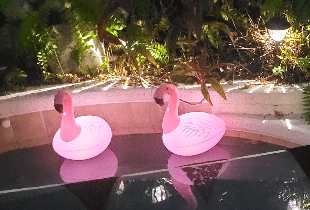 "Newly Decorated Room" available in Cheerful 5 star glam home w/ pool/spa/gazebo!