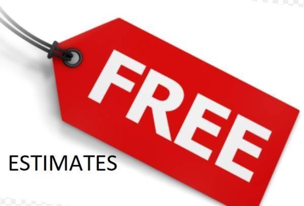 TREE SERVICE - TREE REMOVAL - TREE PRUNING - Visit website MYTREEMAN.COM