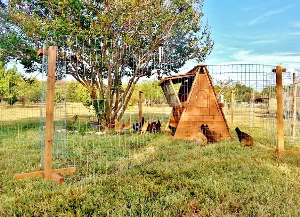 WINTER SALE- 5 ft tall portable chicken coop and movable chicken yard for Fort Worth, TX area