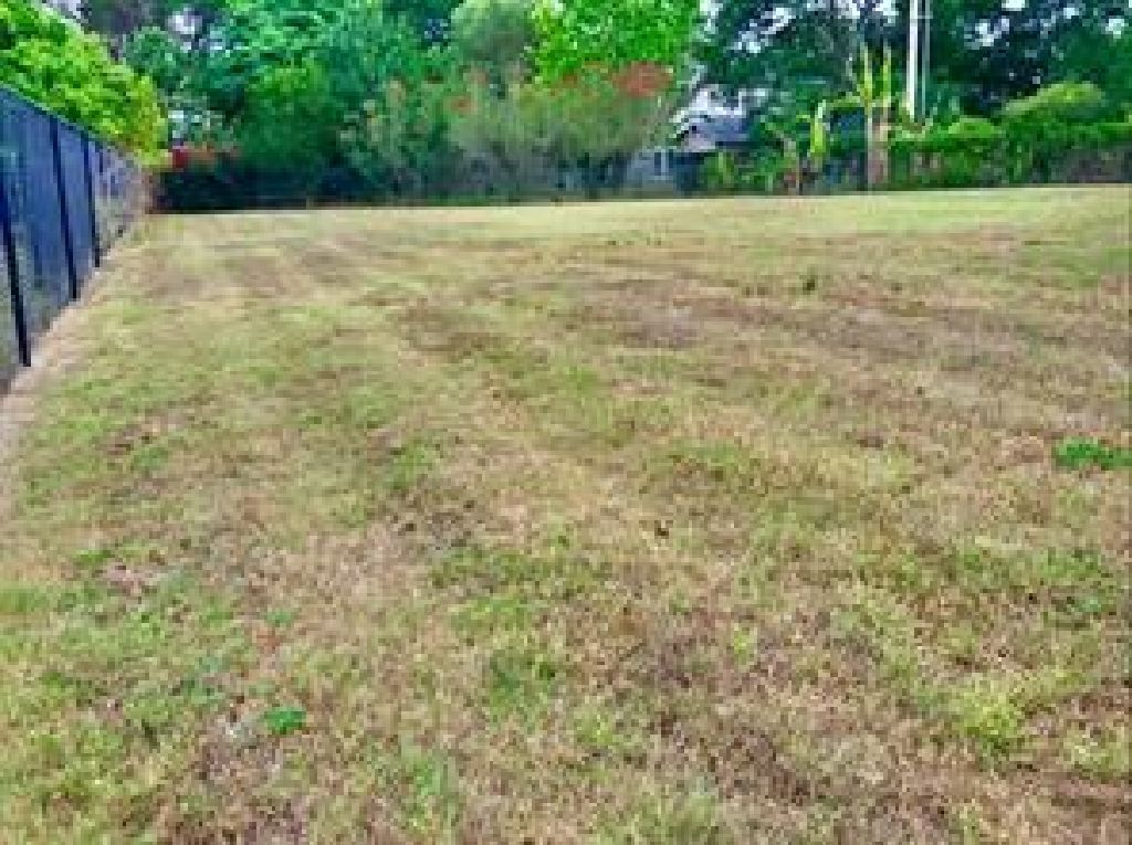 Easy commute to highway this immaculate ready to move in home