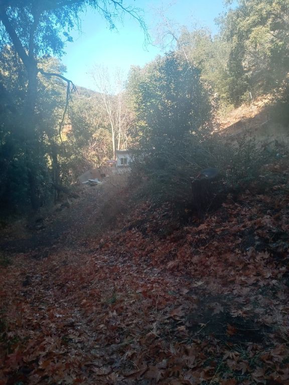 Ranch with cabin 42 acres