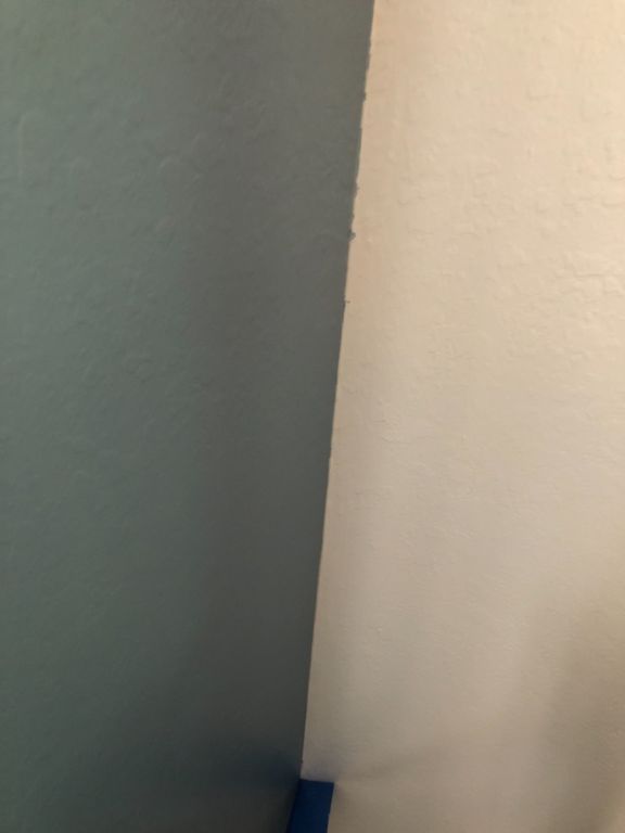 PRESSURE WASHING,PAINTING, POPCORN REMOVAL LLC SERVICE TINA 386-898-1691