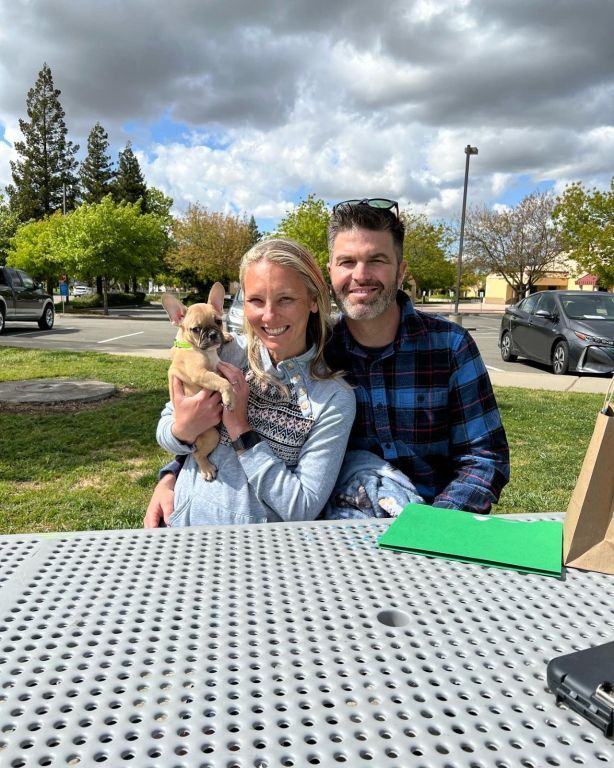 French Bulldog Puppy