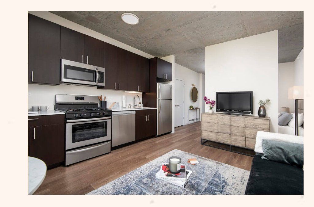 Boutique South Loop 2 Bedroom/2 Bath