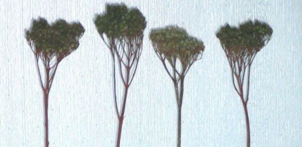 HO MODEL RAILROAD TREES