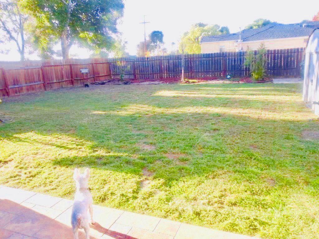 Large bedroom in Lemon Grove (Military or International Student preferred)