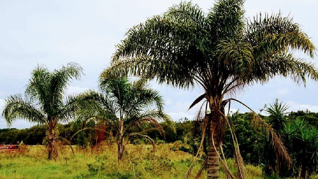 Ready to build your dream home 1ac lot Rural Residental