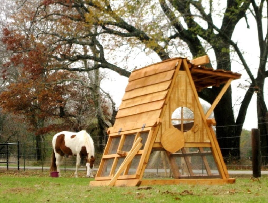 ON SALE- Beautiful Affordable Chicken Coops Hen Houses for 2-12 hens (easily winterized)
