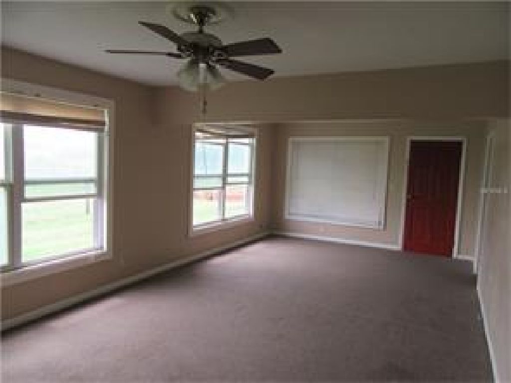 OVER 100 30-FT TALL OAK TREES, LARGE PECAN TREES AND TANGERINE TREES ON PROPERTY.