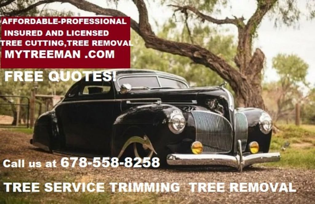 TREE SERVICE - TREE REMOVAL - TREE PRUNING - Visit website MYTREEMAN.COM