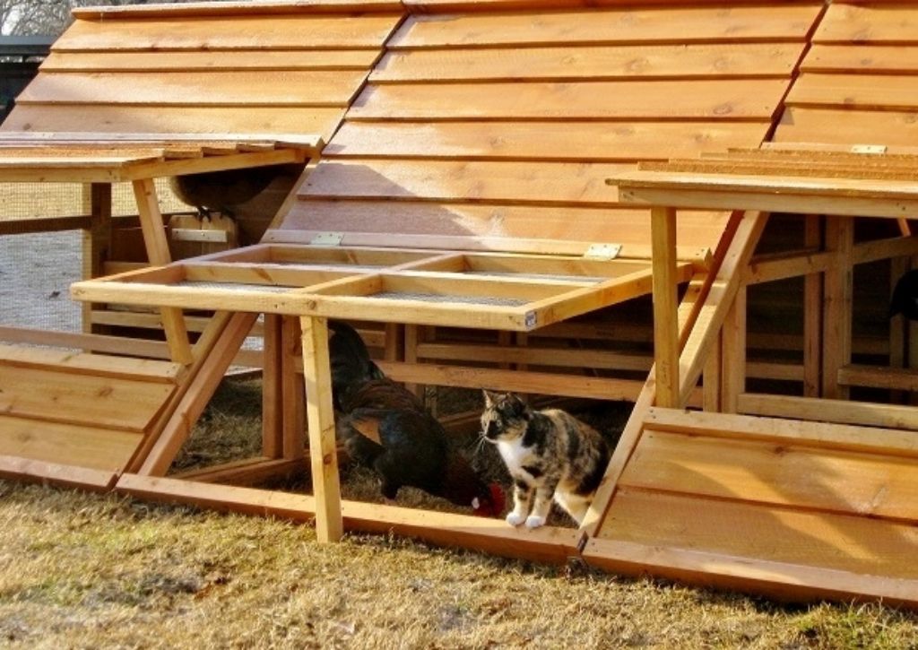 ON SALE - Large and Portable 20-36 Chickens Coop Hen House For Sale- a video shows how we winterize them