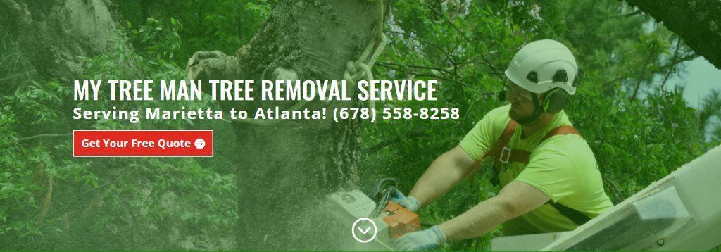 ⚡ TREE SERVICE 🧡 TRIMMING TREE REMOVAL Service 🌝 (Over 96 5 star reviews Google ✅FREE ESTIMATES