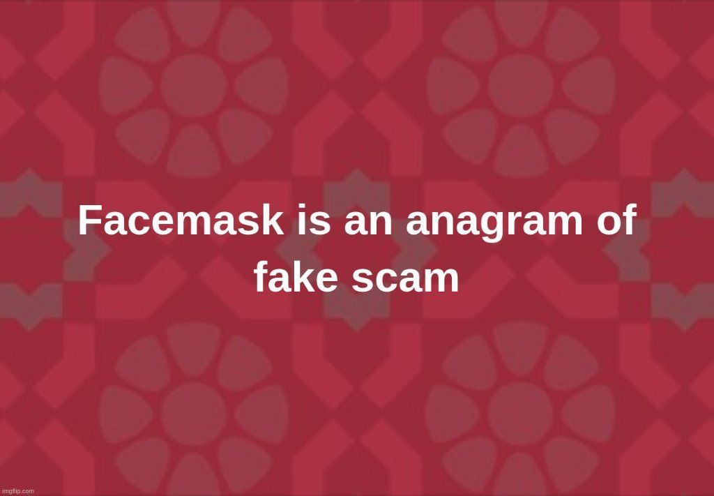 Seeking Holistik, Plant Based Place Vibe, Studio, Casita, Share, Tiny House, Beach