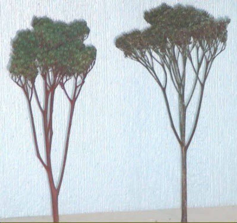 HO MODEL RAILROAD TREES