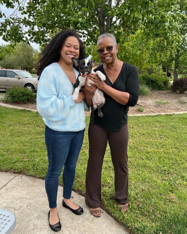 French Bulldog Puppy