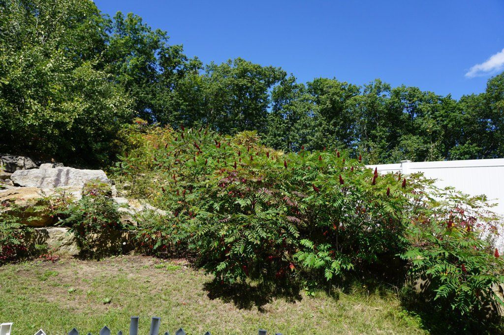 Three Bedroom Townhouse Move in Ready