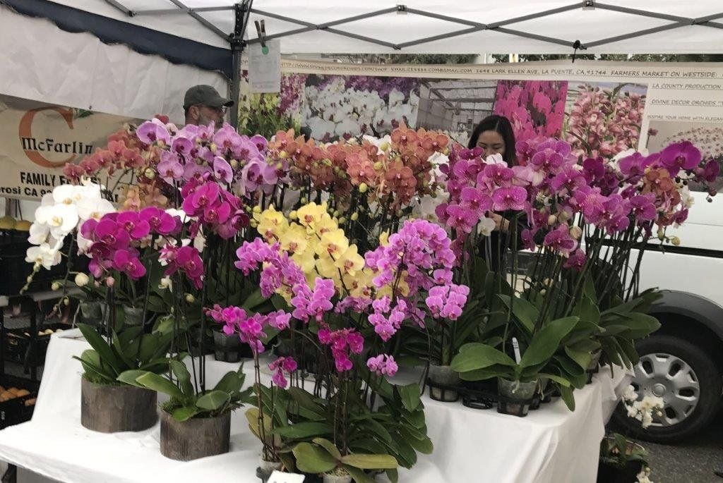 For Sale: 4311 Colfax Avenue 222 in Studio City for $425,000