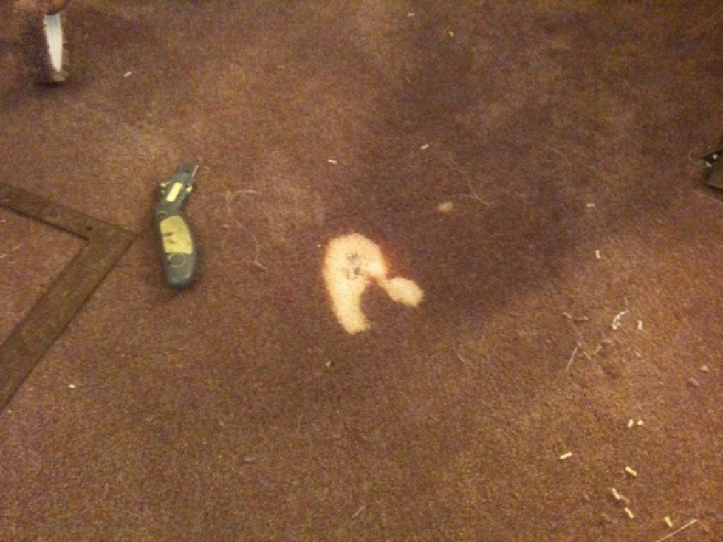 Professional - Carpet Repair/Stretch in Weston - Must see pics