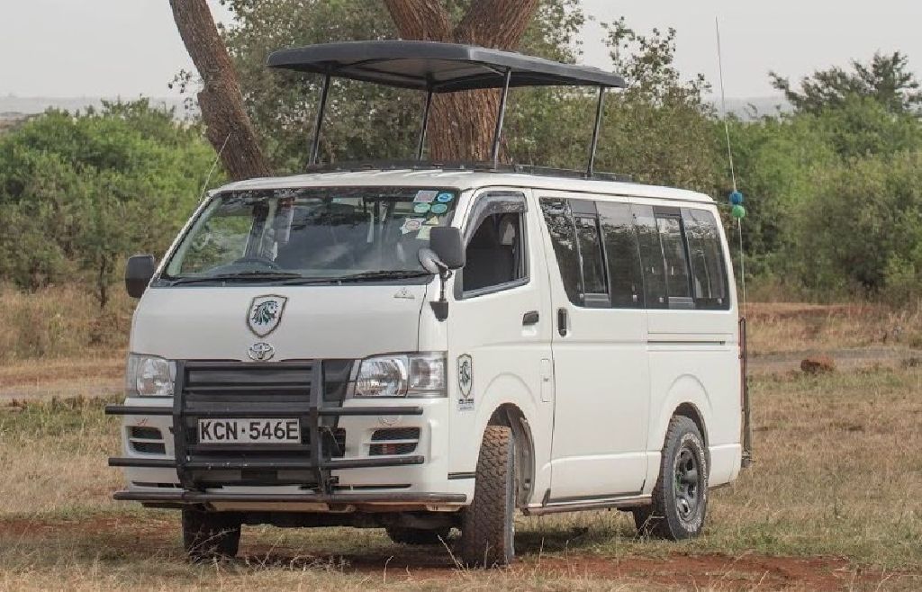 Africa Flash McTours and Travel