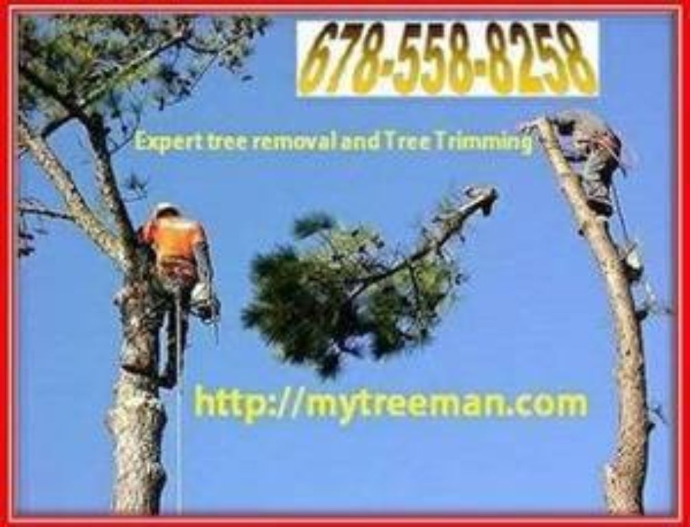 ⚡ TREE SERVICE 🧡 TRIMMING TREE REMOVAL Service 🌝 (Over 96 5 star reviews Google ✅FREE ESTIMATES