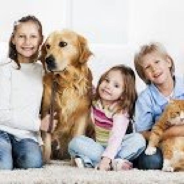 Aqualux Carpet Cleaning