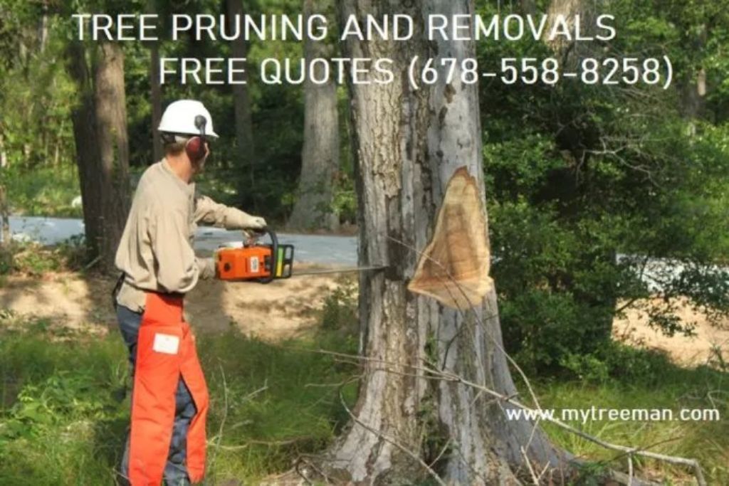 QUALITY AND AFFORDABLE TREE SERVICES | FREE ESTIMATES Over 96 . 5 star reviews google