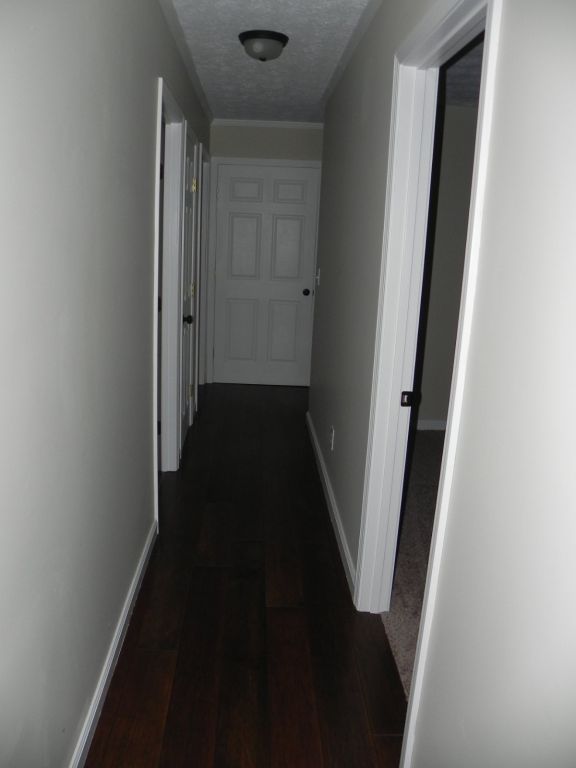 $500 off first months rent! The hunt ends here...