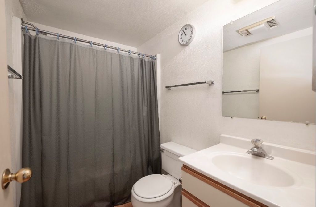 Studio for Rent