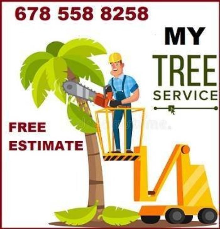 TREE SERVICE -TRIMMING -TREE REMOVAL TREE SERVICE  TRIMMING   TREE REMOVAL Service