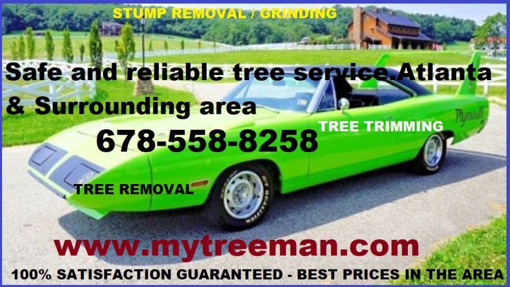 TREE SERVICE -TRIMMING -TREE REMOVAL TREE SERVICE  TRIMMING   TREE REMOVAL Service
