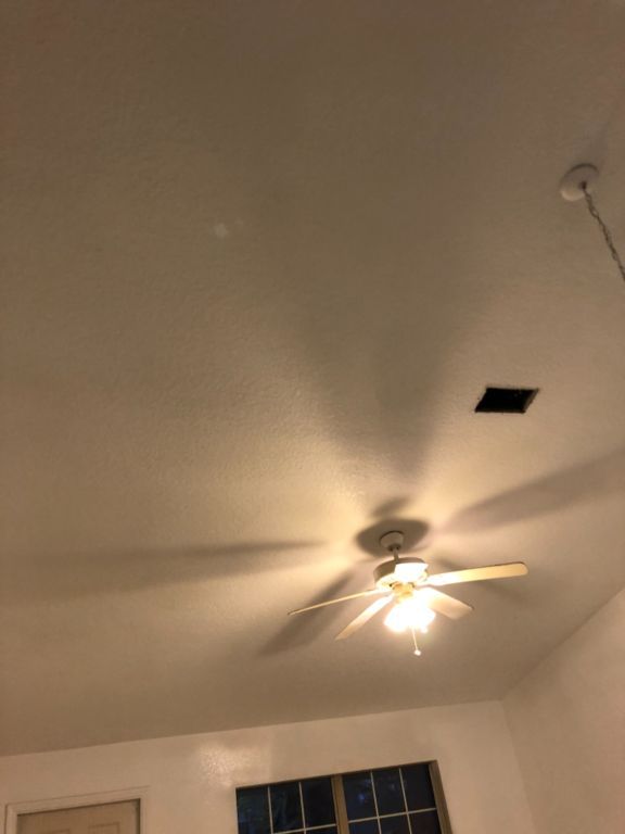 PRESSURE WASHING,PAINTING, POPCORN REMOVAL LLC SERVICE TINA 386-898-1691