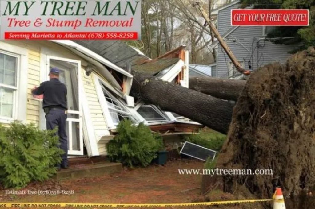⚡ TREE SERVICE 🧡 TRIMMING TREE REMOVAL Service 🌝 (Over 96 5 star reviews Google ✅FREE ESTIMATES