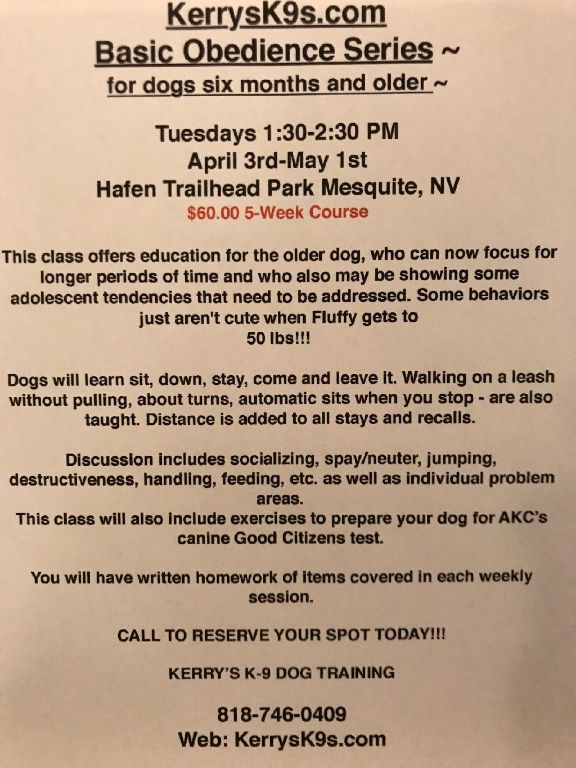 Kerrys K-9s Dog Training Service