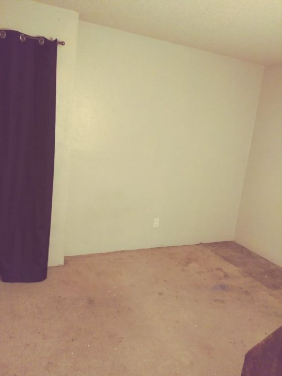 Needing 2 responsible roommates asap