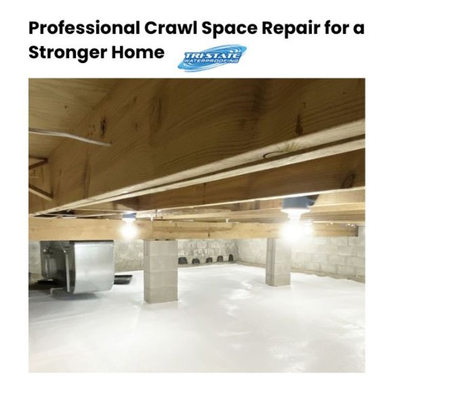 Expert Crawl Space Repair – Protect Your Home from Moisture & Damage