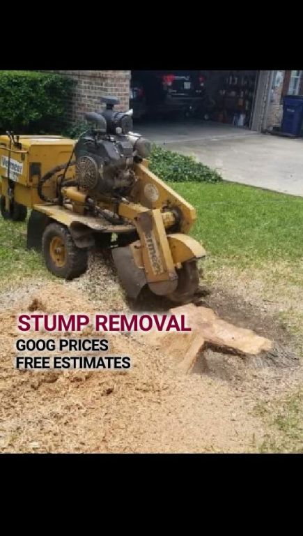 HAYVEN'S TREE SERVICE