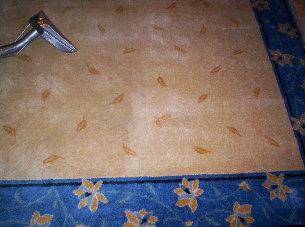 Quality Rug Cleaning in Cooper City