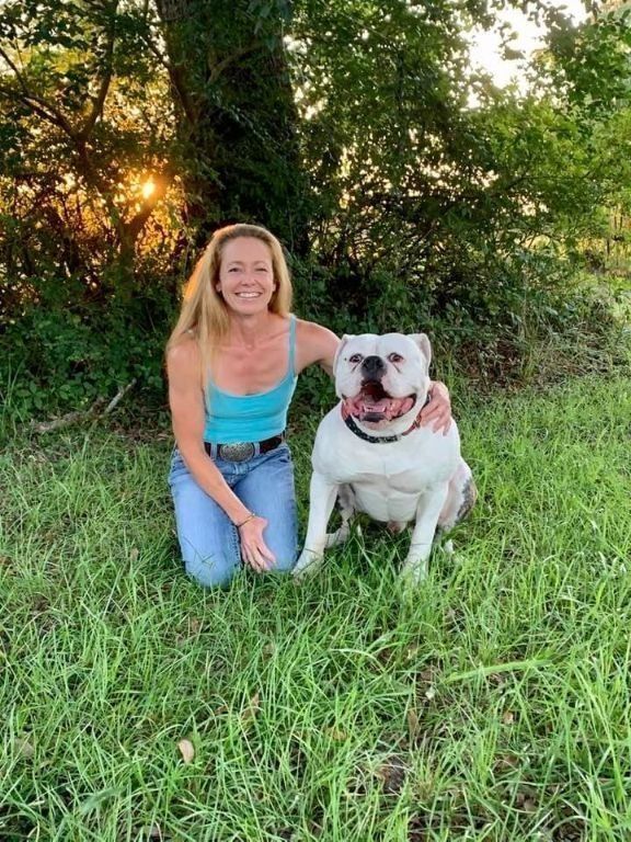 NKC American Bulldog Puppies; Johnson Bloodlines; Loving, Loyal, and Protective