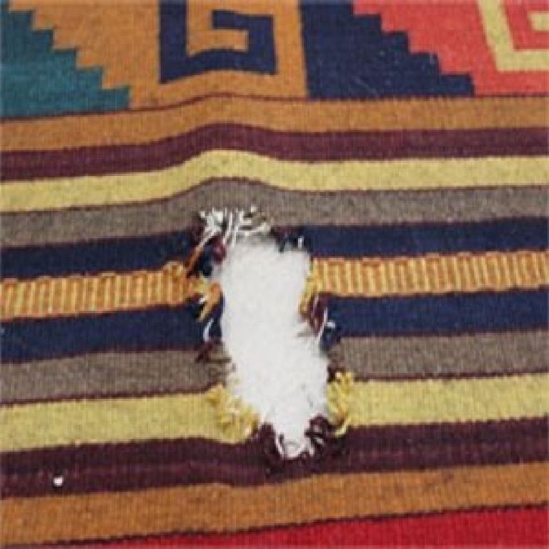 Rug & Carpet Cleaning of Riverdale